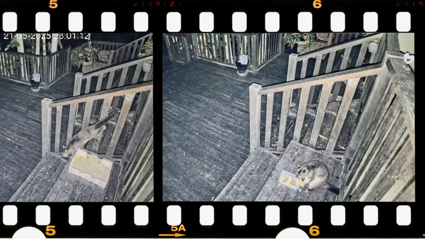 Dahua CCTV in the Dark: Clarity You Have to See to Believe
